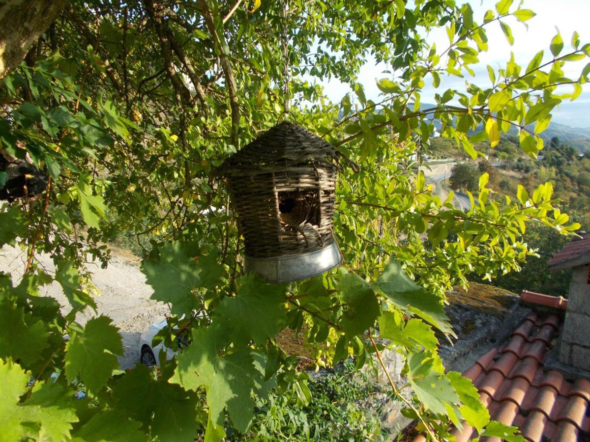 Casa De Sao Joao Das Castanheiras Resende Exterior foto